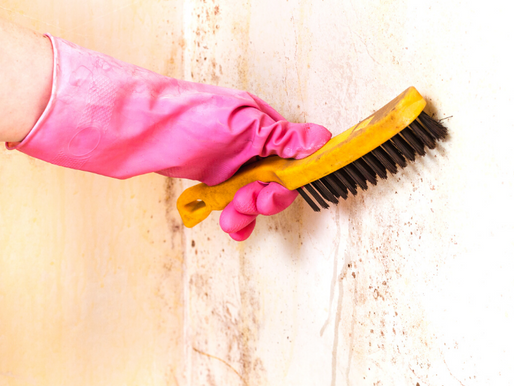 A Guide to Cleaning Surface Mold