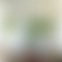 The Front Porch Renaissance is 2026’s Top Exterior Design Trend