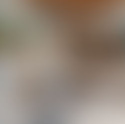 Summer Kitchens offer the biggest ROI in Florida