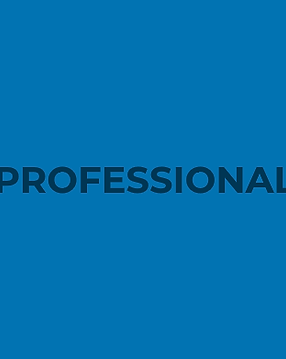 professional-fatturazione-24.png