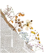 340998292036211-removebg-preview (1).png
