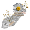 338133949072211-removebg-preview.png