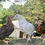 Thumbnail: Whiting True Blue Pullet Pre-Sale for Pickup on 7/15/23