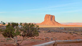 IMG_8142.JPEG