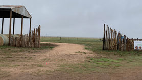 IMG_7772.JPEG