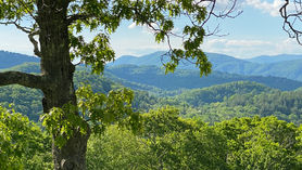 IMG_7545.JPEG