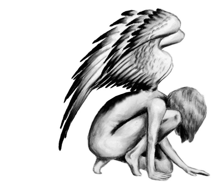 The Phoenix Rising Foundation GIF.gif