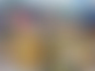 Aves silvestres são resgatadas pela PM em Camaçari