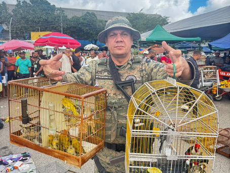 Aves silvestres são resgatadas pela PM em Camaçari