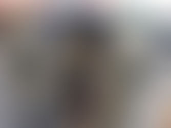 Mais de 30 aves silvestres são apreendidas pela polícia ambiental em Dias d’Ávila.