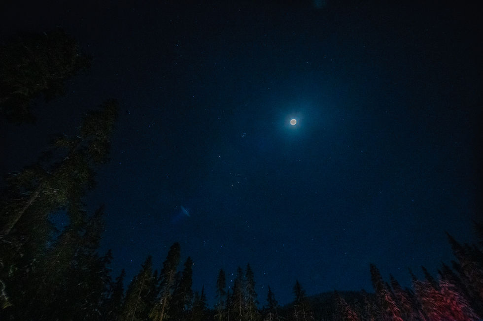 DSC_0503.jpg