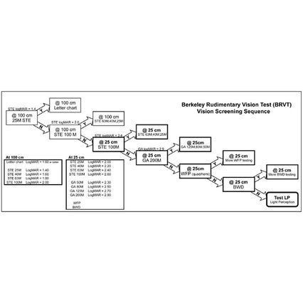 BRVT 柏克萊基本視力測試