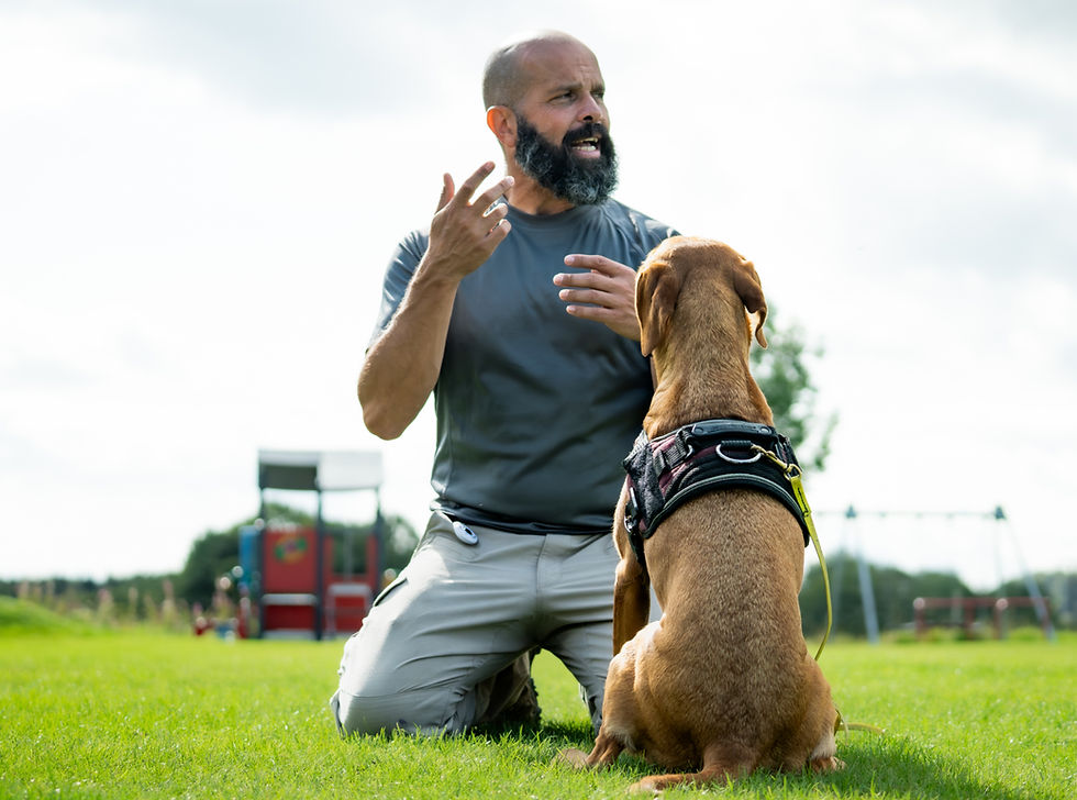 Introducing ScentMasters UK | Scentwork and Detection Dog Training