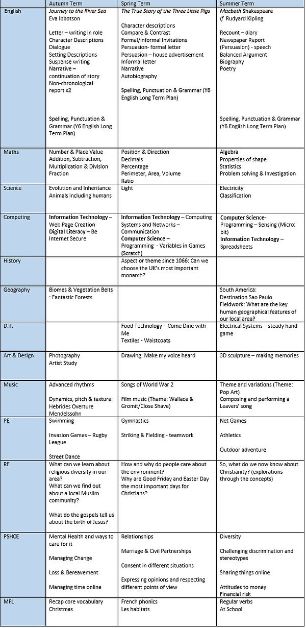 Year 6 Overview.jpg