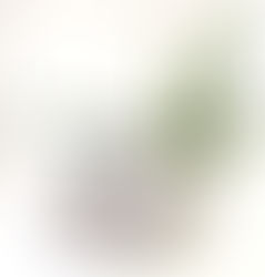 New Year, Do You - First Craft Pack Launch