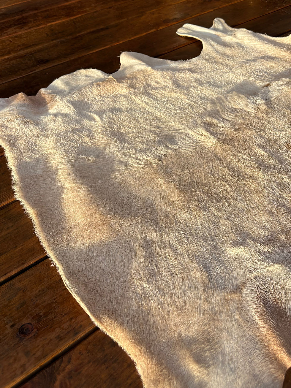 Thumbnail: Katahdin Sheep Hide #1