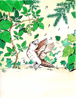 Thrush_Thrush page30.jpeg