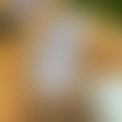 „Aktionswochen Freies Saatgut“ auch im Verband der Gartenfreunde Hansestadt Rostock e.V.