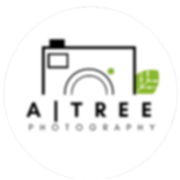 AlikoTree (3).png
