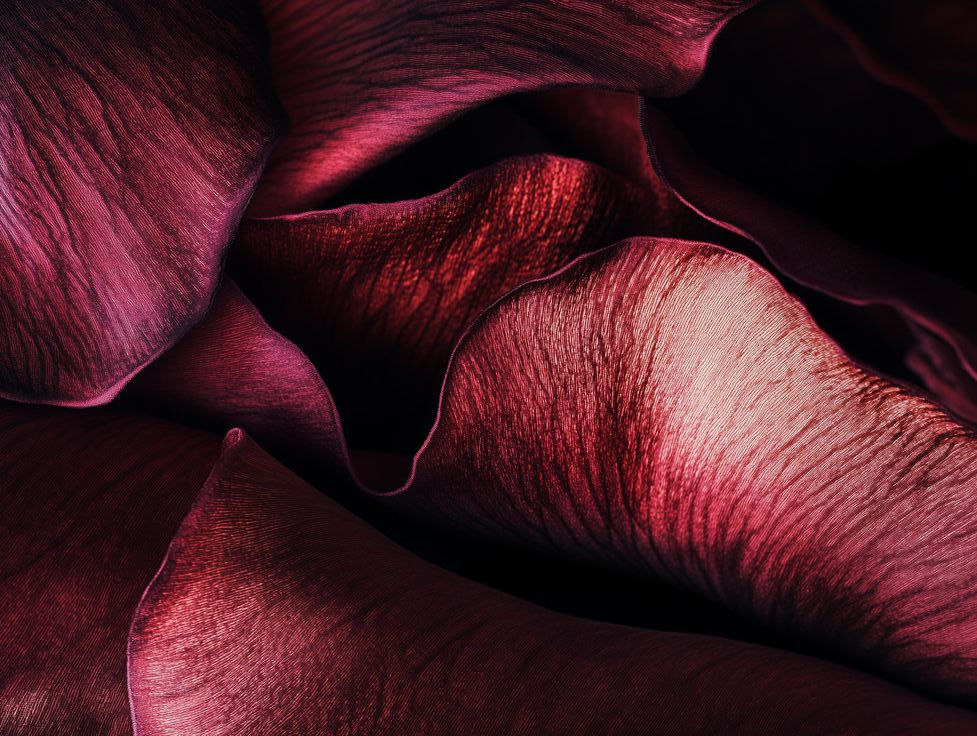 Shadowed red satin pallet_edited.jpg