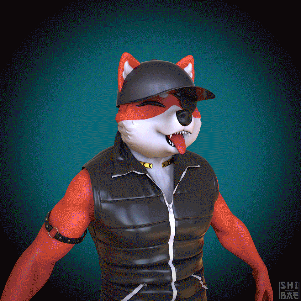 Shibae_collection2.gif