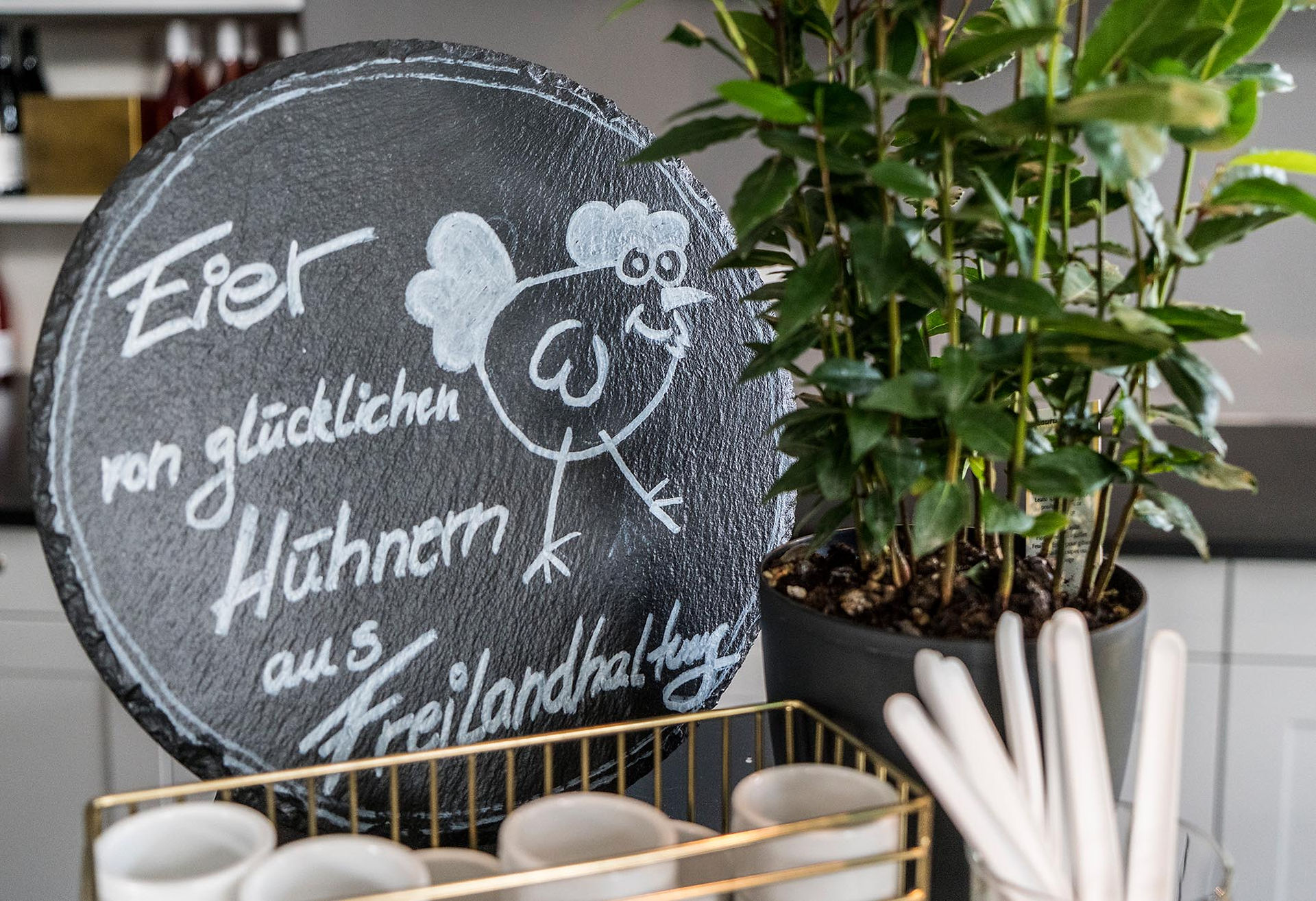 Oderberger Restaurant