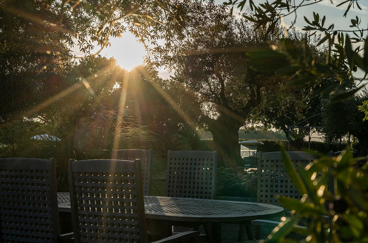 Garden Dining