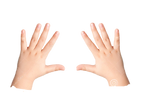 Hand.png