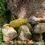Thumbnail: DELILAH THE DUCKESS, ECO TOY