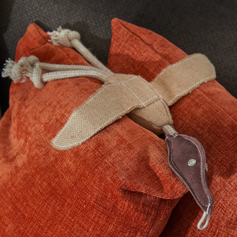 Thumbnail: DESMOND THE DUCK, ECO TOY