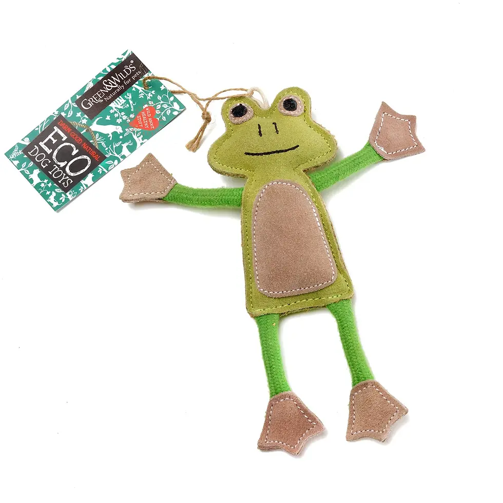 Thumbnail: FRANCOIS LE FROG, ECO TOY