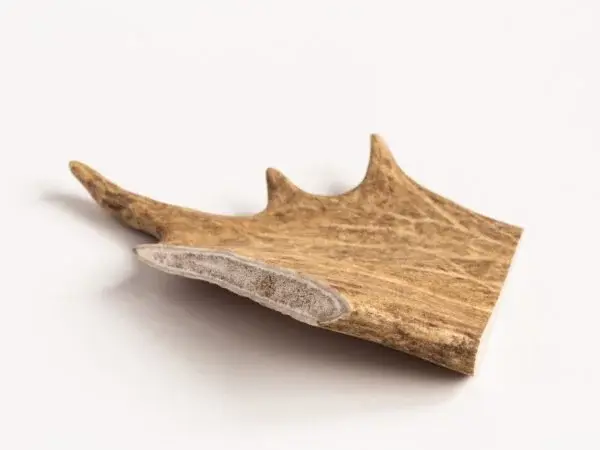 FALLOW ANTLER