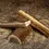 Thumbnail: SPLIT ANTLER