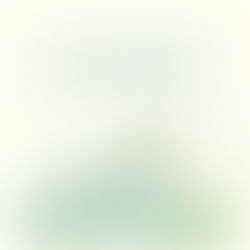 Camper Van Adventures