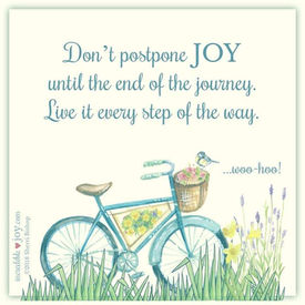 Camper Van Adventures