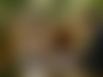 FPC Business Planning: A Roadmap for Growth