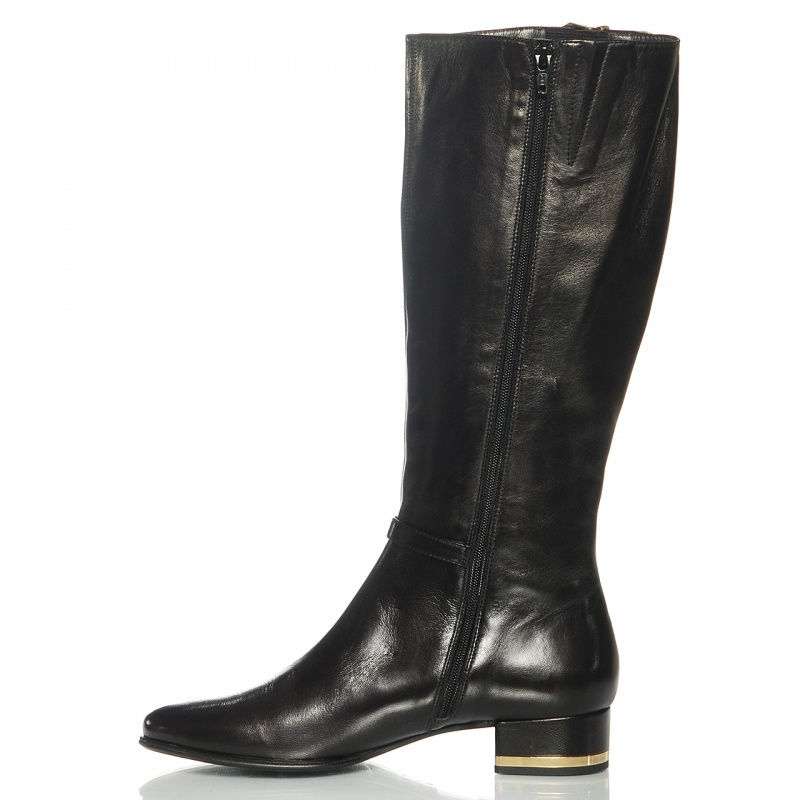 Миниатюра: Zocal