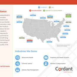 For this project, it was crucial to promote innovative tools and provide actionable insights to improve outcomes and manage substance use disorder, mental health, chronic pain, and criminal justice programs effectively. Throughout the process, I focused on maintaining brand styles while incorporating a clean and simple design to ensure clarity and impact.