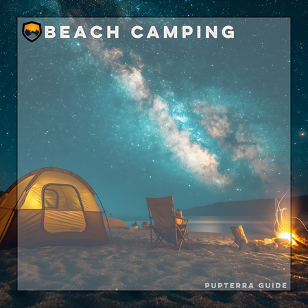 Beach Camping in Southern California