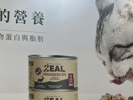 Pets, now part of the modern Taiwanese family