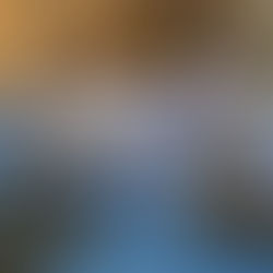 Young martial artists kneel respectfully, preparing for their class with a bow.