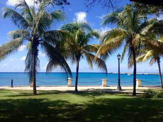 Caribbean blue sea with palm trees and green grass