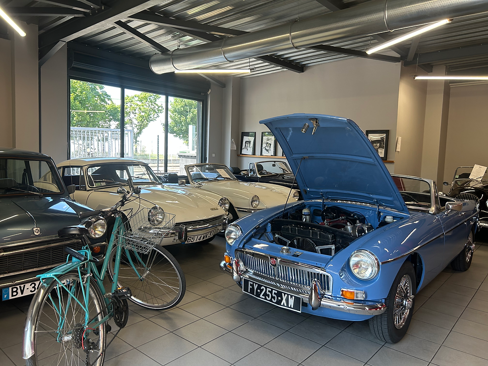 Vue d'ensemble du showroom Classic Automobiles à Toulouse, avec plusieurs voitures anglaises de coll