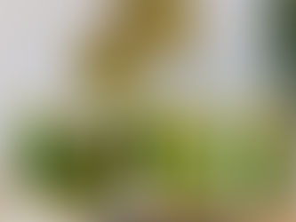 Glazen potten met ingelegde komkommer, wortel en ui op een aanrecht, met gouden zeeflepels tegen witte tegels.