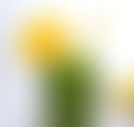 glas met groene drank en geel rietje en schijfje sinaasappel .