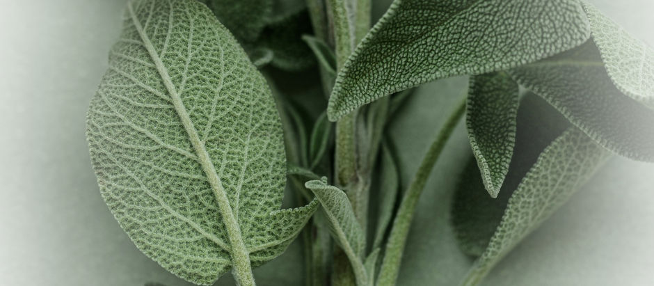 saaie voor een salievoetenbad voor vermoeide voeten