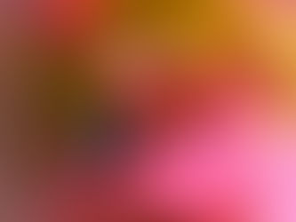 lieve heerbeestje op blad van roze bloem