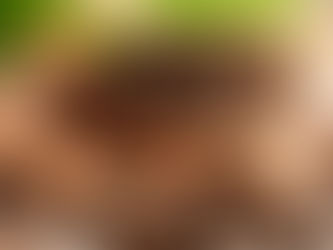 een mix van Laurierblad, kruidnagels, peper, foelie en nootmuskaat maken samen een heerlijke kruidenmix voor hachee