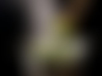 kooktechniek blancheren in kokend water