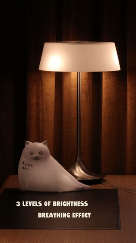 Vapour Park x Dawning Crow- THE BIG WHITE CAT WITH LAMP | Vapour Park
